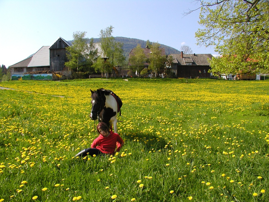 Urlaub am Schilcherhof, entspannen und Spaß haben