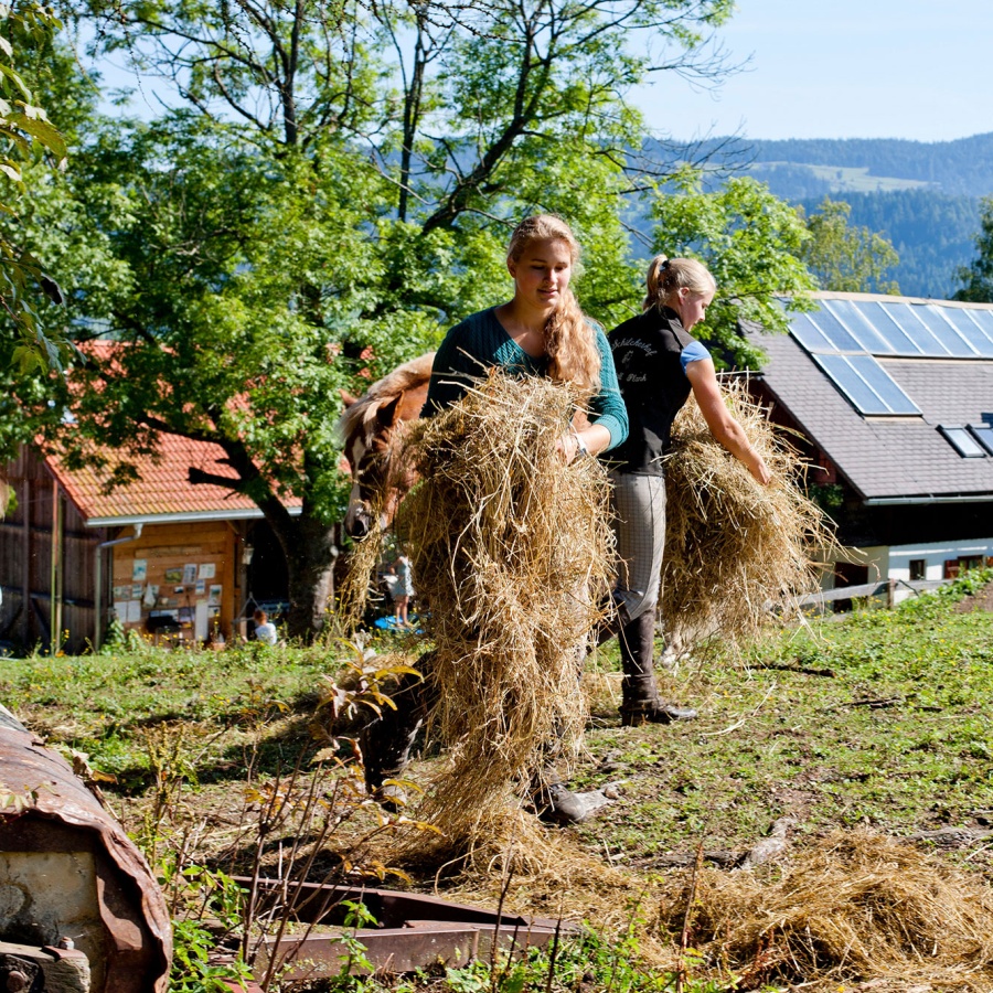 Urlaub am Schilcherhof, Familie Plank, Naturpark Zirbitzkogel - Grebenzen